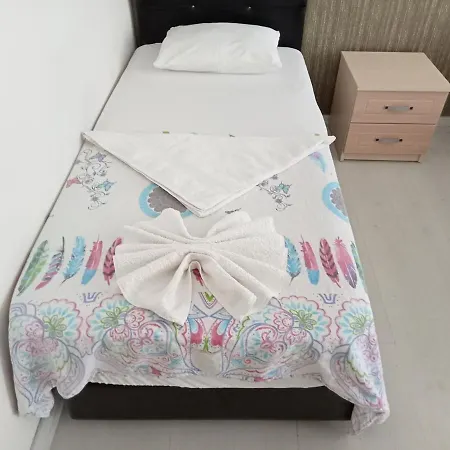 Yali 迪迪姆